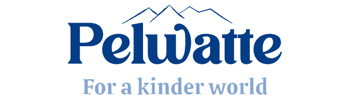 Pelwatte Dairy